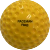 Buy ❤️ Paceman REG Balls - Dozen - Suitable for Paceman Pro X2 Machine ✔️